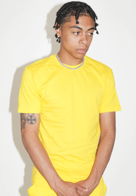 Elegant Combed Cotton T-Shirt